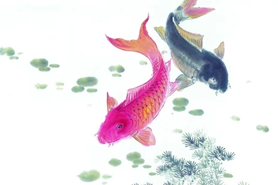 Chinese Ink Painting Of The Mid Fish Desktop Wallpapers 8 ...