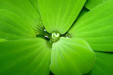 Desktop Wallpapers Full Screen   Wallpapers High Definition