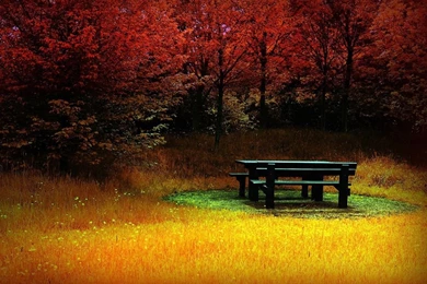 Free Backgrounds Pictures For Desktop   Wallpapers Cave