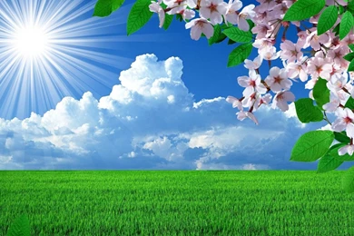 Pictures For Desktop Backgrounds Free Download_other_Desktop ...