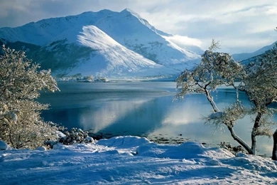 Nature Images Free Download