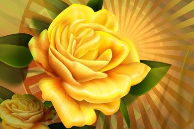 Pretty – Rose – Gold  wallpapers, Rose Flower Images, Rose ...