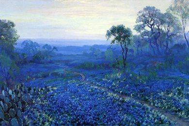 Bluebonnet Wallpapers