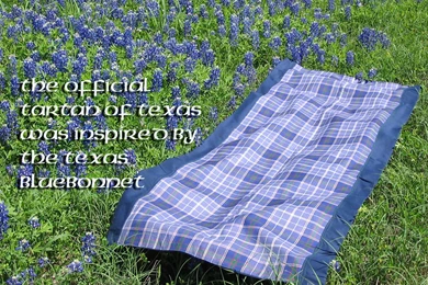 Texas State Bluebonnet Tartan