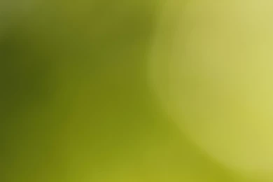 Wallpapers Website Free   Wallpapers Zone