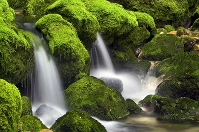 Live Green Waterfalls, 1920x1200 Pixels : Wallpapers Tagged ...
