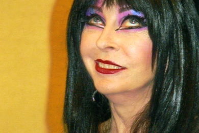 Elvira Mistress Of The Dark Wallpapers   Wallpapers Cave