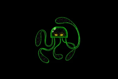 Octonauts Computer Wallpapers, Desktop Backgrounds