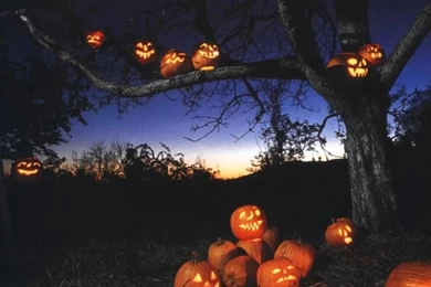 Jack O Lantern Background Images
