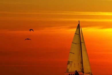 Glowing Ocean Beach Sunset Sailboat iPhone Wallpapers