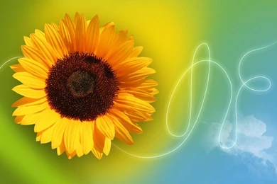 30 Cool And Creative Photoshop Tutorials In Making Backgrounds And ...