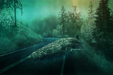 Create A Surreal Underwater Backgrounds In Photoshop   Photoshop ...