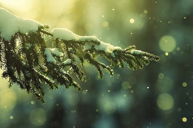 32800 Rocks In Water 1920x1080 Photography Wallpapers