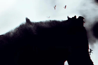 Video Game Shadow Of The Colossus HD Wallpapers, Desktop ...