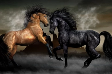 Horse Wallpapers Hd Collection (37+)