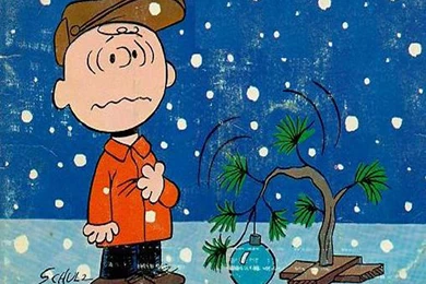 Charlie Brown Wallpapers   Crazy Frankenstein