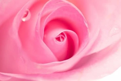 Pretty Pink Wallpapers   Android Apps On Google Play