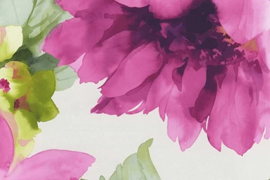 Grey Large Floral Wallpapers   Interior Home Decor