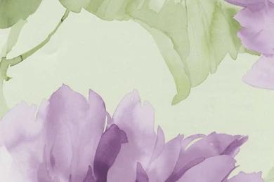 Grey Large Floral Wallpapers   Interior Home Decor