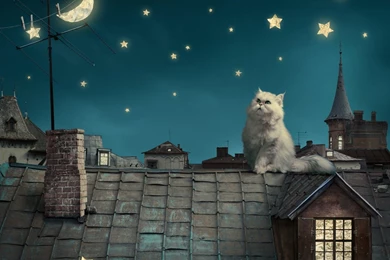 1280x1024 Fairy Tale Wallpapers HD, Desktop Backgrounds 1280x1024