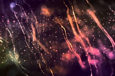 Free Motion Footage Hd Stock, Motion Graphics , Free Download ...