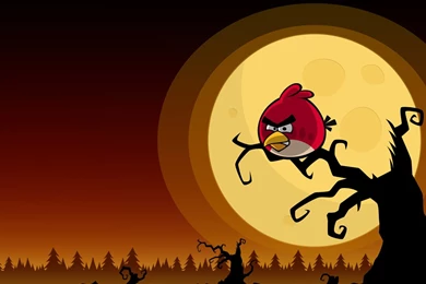 Download Angry Birds 3d Wallpapers Widescreen