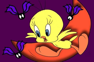 Tweety Wallpapers