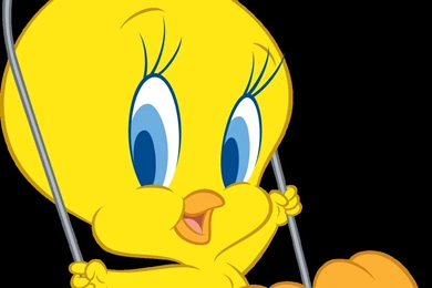 Tweety Cartoon Images   Wallpapers High Definition