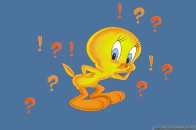 Top Tweety Wallpapers Wallpapers