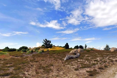 Desolate Desert Scenery Desktop Wallpapers 5 － Landscape ...