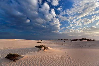 Deserts Wallpapers Page 4: Radial Farm Fields Greengrass Desert ...