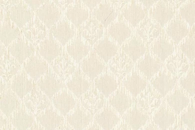 Jakarta Champagne Ikat Motif Wallpapers Bolt   Contemporary ...