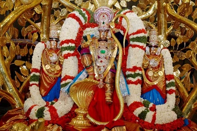 God Venkateswara Images And Wallpapers Download