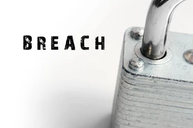 Download Green Internet Wallpapers 1280x1024