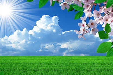 Nature Spring Wallpapers