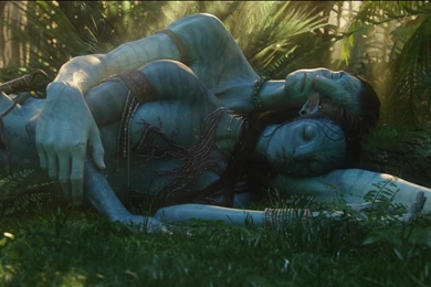 Download Movies Avatar Wallpapers 1920x1080