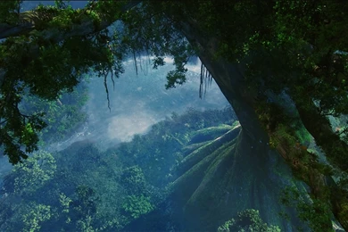 Avatar High Quality Pictures Avatar The Best High Quality ...