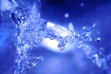 Wallpaper: Exclusive Wallpapers Nature