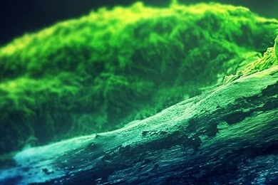 640x1136 Mobile Phone Wallpapers Download   84   640x1136 ...