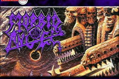 Morbid Angel Wallpapers Picture Image 1024x768 28446