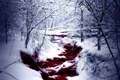 Wallpapers Beauty Face And Of 800x600