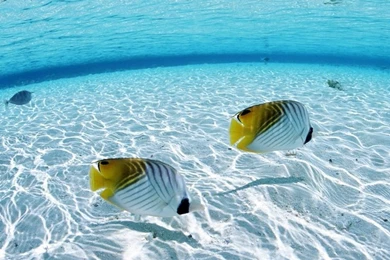 Beautiful Clear Waters. Wallpapers