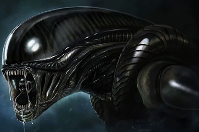 Sci Fi 3d Alien Wallpapers Hd