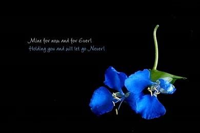 3d Quotes. QuotesGram