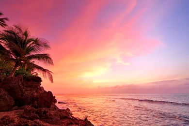 Puerto Rico Rincon Sunset Ocean Palm Trees Desktop Wallpapers