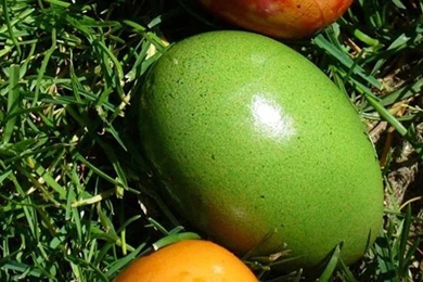 3D Samsung Galaxy Note 5 Wallpapers 99