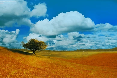 Autumn, September, Seasons, Background, Wallpaper, Nocal, Smash ...