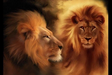 Download Lion The King Mobile Wallpapers