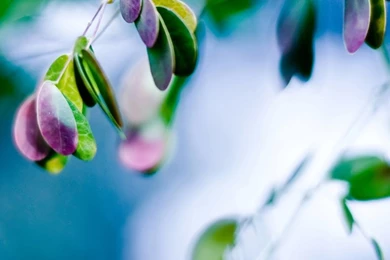 Colours Wallpapers For Mobile