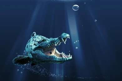 New 3d Wallpapers   AsimBaBa